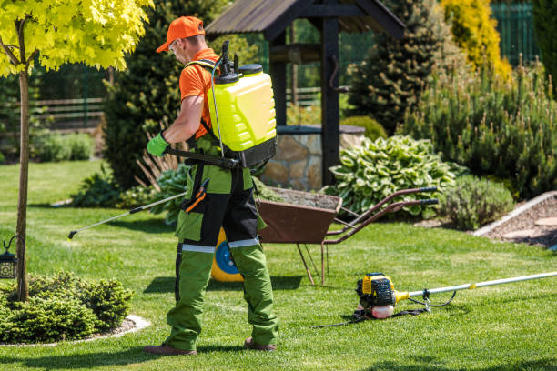 Best Fumigation Services  in Brandermill, VA